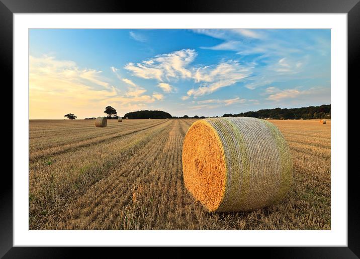 Sunkissed Harvest Framed Mounted Print by Rick Bowden