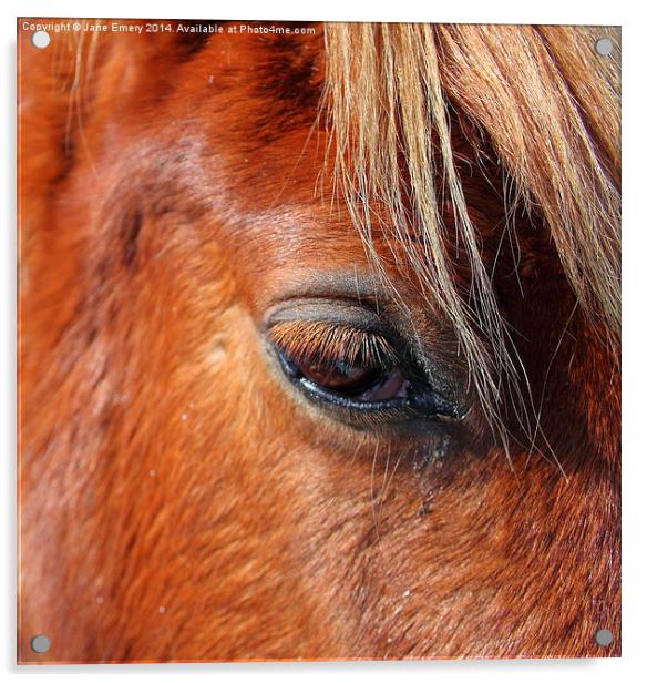  Horse Chestnut Acrylic by Jane Emery