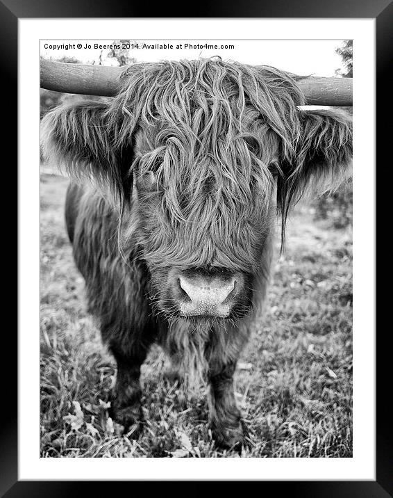 highland cow Framed Mounted Print by Jo Beerens