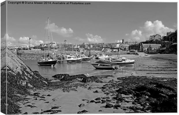 Newquay Harbour  Canvas Print by Diana Mower