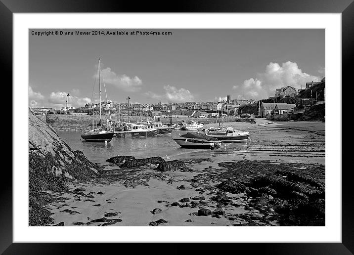 Newquay Harbour  Framed Mounted Print by Diana Mower