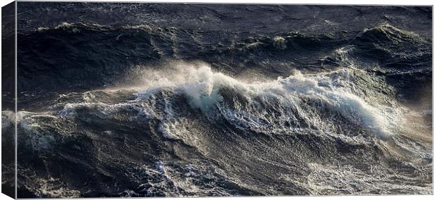 Breaking waves  Canvas Print by Leighton Collins