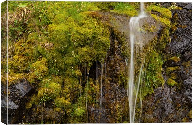 Green waterfall Canvas Print by Thomas Schaeffer