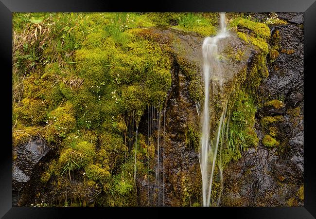 Green waterfall Framed Print by Thomas Schaeffer