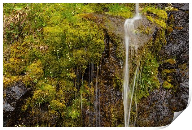 Green waterfall Print by Thomas Schaeffer