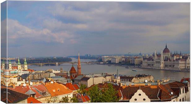 Budapest Hungary cityscape Canvas Print by David French