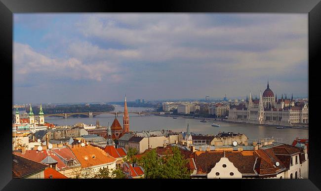Budapest Hungary cityscape Framed Print by David French