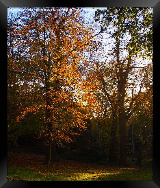  At the going down of the sun   Framed Print by Nathan Holmes