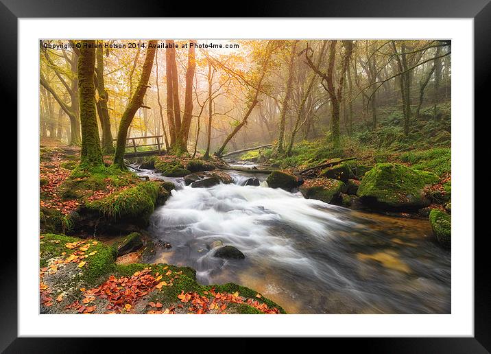 Misty Autumn Woods Framed Mounted Print by Helen Hotson