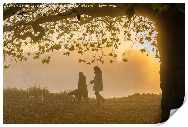 Misty morning for walking the dogs Print by Keith Douglas