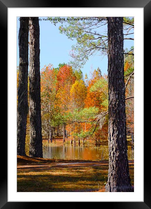  Florida Autumn Framed Mounted Print by Judy Hall-Folde