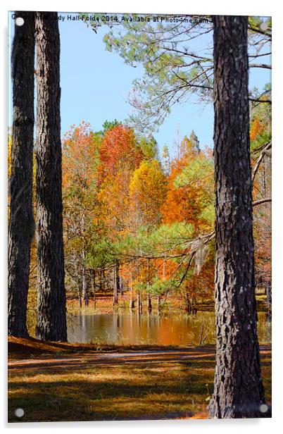  Florida Autumn Acrylic by Judy Hall-Folde