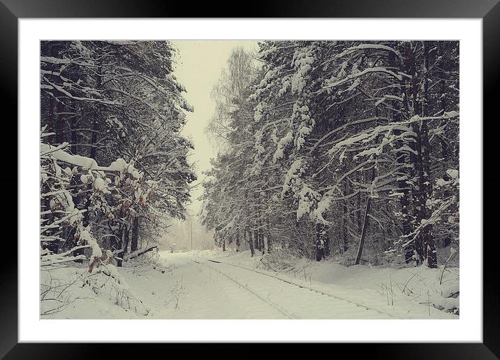  Blizzard in the Winter Woods  Framed Mounted Print by Jenny Rainbow