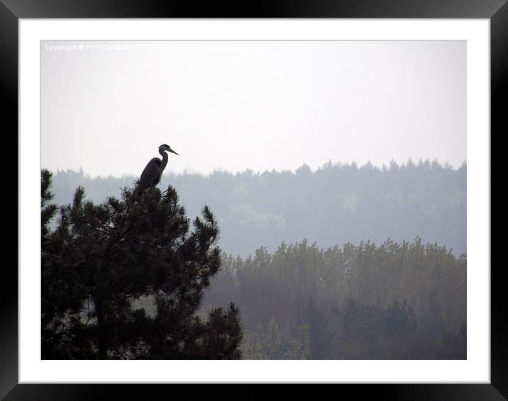 Heron Lookout Framed Mounted Print by Phil Clarkson