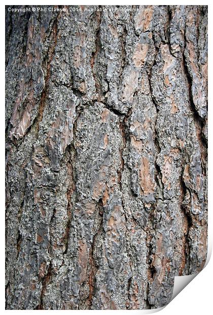 Tree Bark Abstract Print by Phil Clarkson