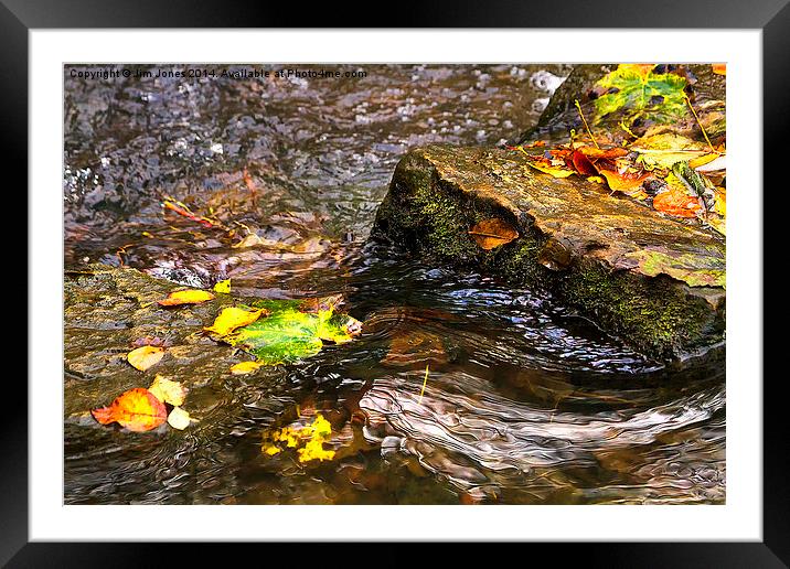  Stepping Stones Framed Mounted Print by Jim Jones