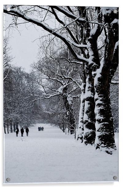 Winter Trees Acrylic by Karen Martin