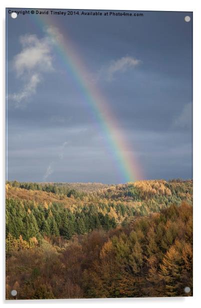  Rainbows End Acrylic by David Tinsley