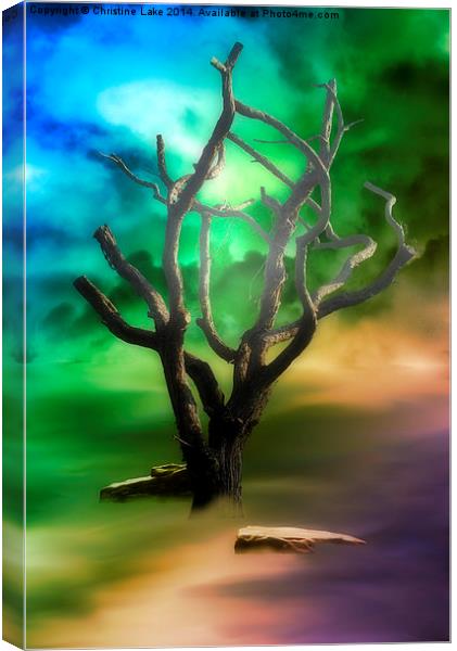  Fantasy Thoughts Canvas Print by Christine Lake