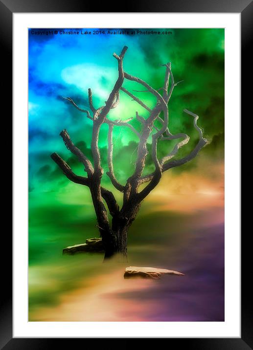  Fantasy Thoughts Framed Mounted Print by Christine Lake