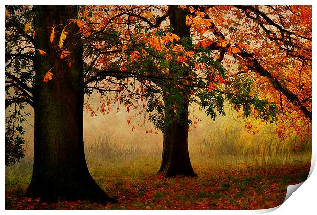  Autumn In Hamstead-heath London Uk  Print by Heaven's Gift xxx68