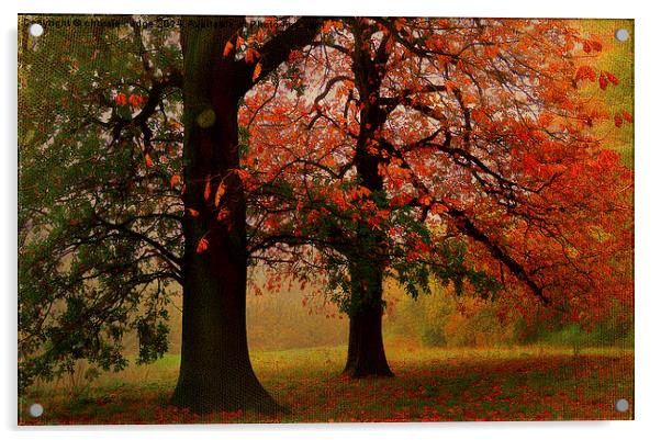  textured/painterly Autumn scene  Hampstead-heath  Acrylic by Heaven's Gift xxx68