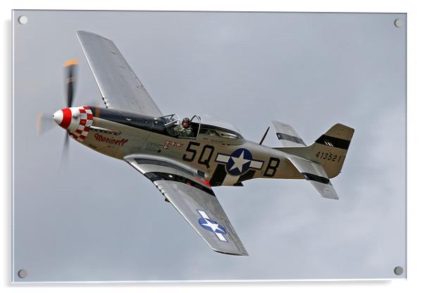  P-51 Mustang Marinell topside pass Acrylic by Rachel & Martin Pics