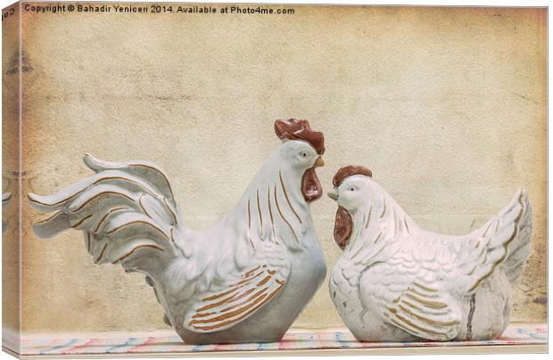  Rooster and Hen Canvas Print by Bahadir Yeniceri