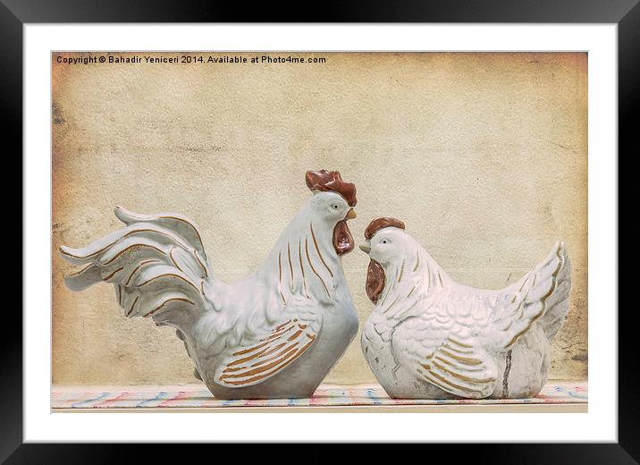  Rooster and Hen Framed Mounted Print by Bahadir Yeniceri