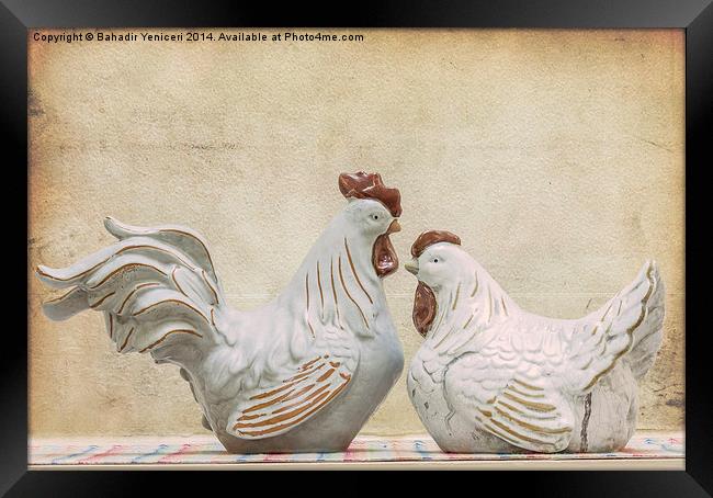  Rooster and Hen Framed Print by Bahadir Yeniceri