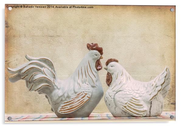  Rooster and Hen Acrylic by Bahadir Yeniceri