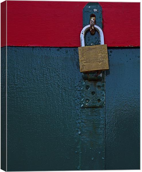 Safe Sound and Secure Canvas Print by Jonathan Evans