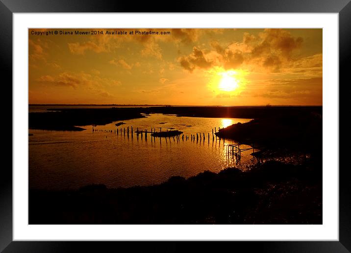  Tollesbury Wick Framed Mounted Print by Diana Mower