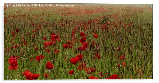 Fractalius Poppys  Acrylic by peter wyatt
