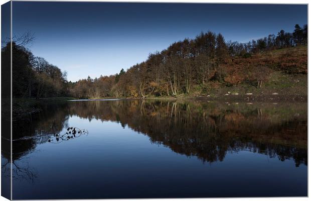  Penllergaer woods top lake Canvas Print by Leighton Collins