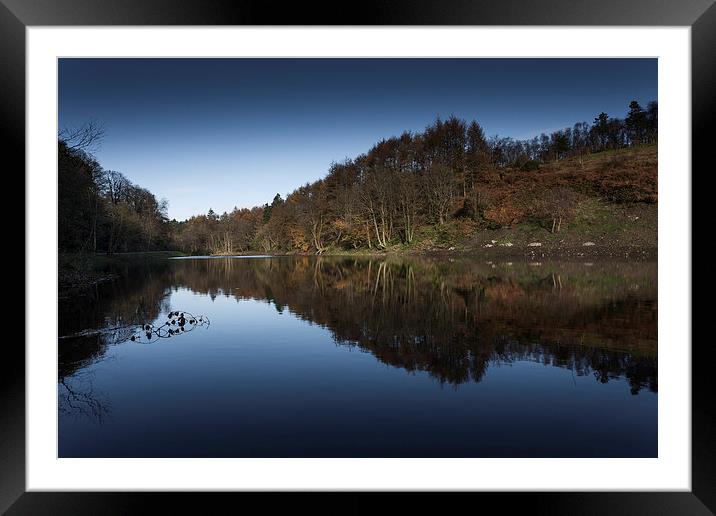  Penllergaer woods top lake Framed Mounted Print by Leighton Collins
