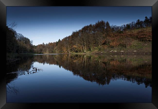  Penllergaer woods top lake Framed Print by Leighton Collins