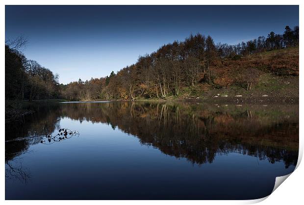  Penllergaer woods top lake Print by Leighton Collins