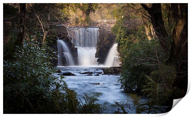  Penllergaer waterfall Swansea Print by Leighton Collins