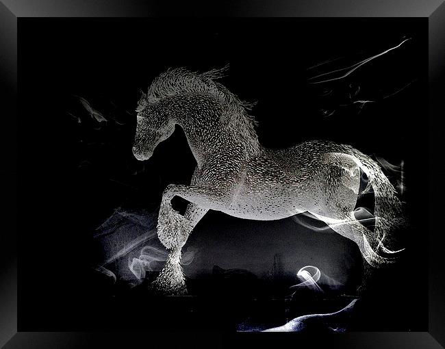 Wonder Horse Framed Print by sylvia scotting