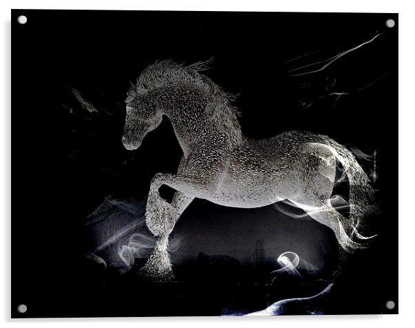  Wonder Horse Acrylic by sylvia scotting