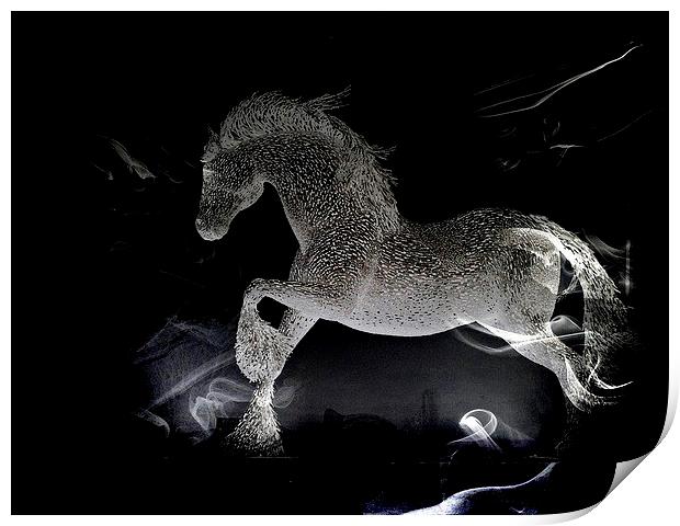  Wonder Horse Print by sylvia scotting