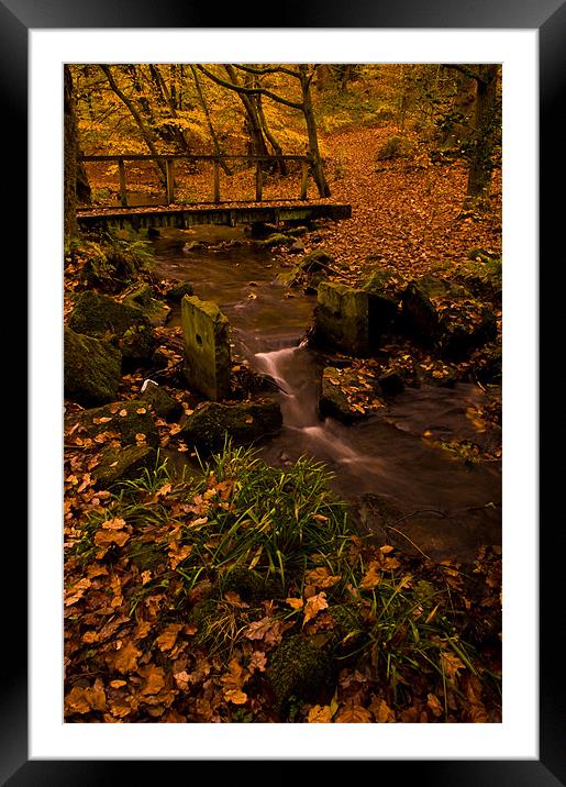 Autumn Framed Mounted Print by Chris Brook