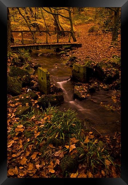 Autumn Framed Print by Chris Brook