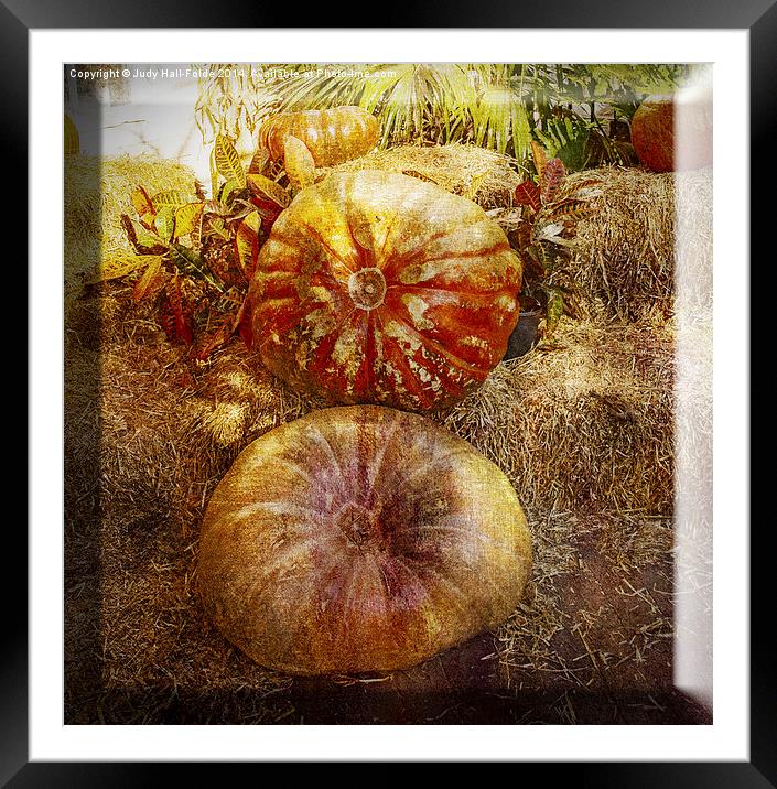  Autumn Flare Framed Mounted Print by Judy Hall-Folde