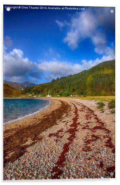  Kingairloch Loch Linnhe Acrylic by Chris Thaxter