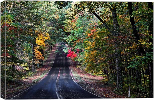  Fall Colors Of Skyline Drive Canvas Print by Tom and Dawn Gari