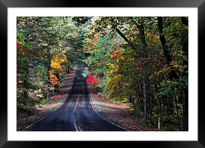  Fall Colors Of Skyline Drive Framed Mounted Print by Tom and Dawn Gari