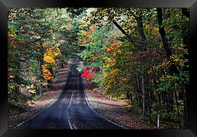 Fall Colors Of Skyline Drive Framed Print by Tom and Dawn Gari
