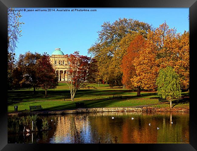 Changing Colours of Autumn.  Framed Print by Jason Williams